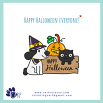 Image may contain: text that says 'HAPPY HALLOWEEN EVERYONE! HAPPY Halloween SCARF CARF www.carfcuracao.com stichtingcarf@gmail.com'
