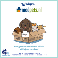 May be an image of dog, cat and text that says "THANKYOU medpets.nl BEDANKT NEED HOME CUDDLES FOR FOOD Your generous donation of €500,- will help us save lives! CARF fostering pcond Chancps WWW.CARFCURACAO.COM FOSTERING SECOND CHANCES SINCE 2008"
