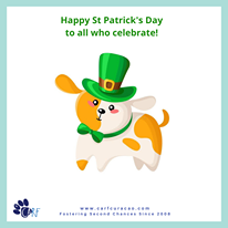 May be an image of text that says "Happy St Patrick's Day to all who celebrate! CARF www.carfcuracao.com Fostering Second Chances Since 2008"